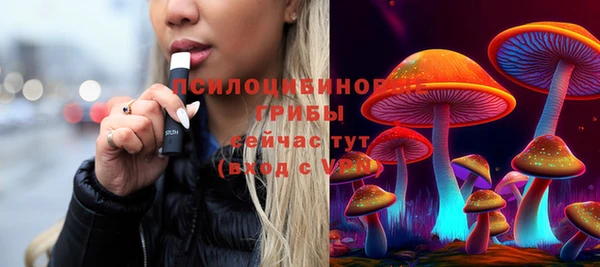 Альфа ПВП Бронницы