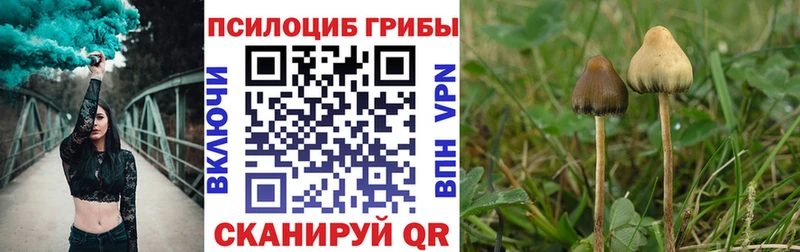 Галлюциногенные грибы Psilocybine cubensis  Купить закладки  Кирс 